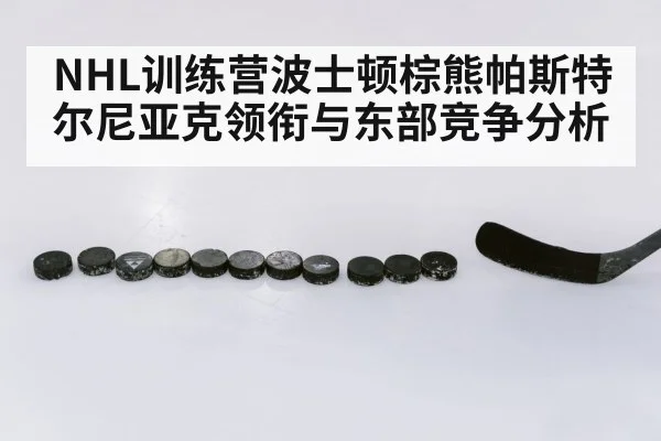 NHL hockey training camp | kaiyun